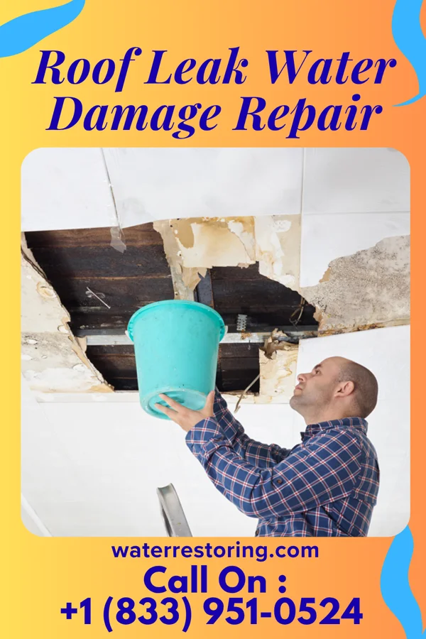 Roof Leak Water Damage Repair in Neeses, SC